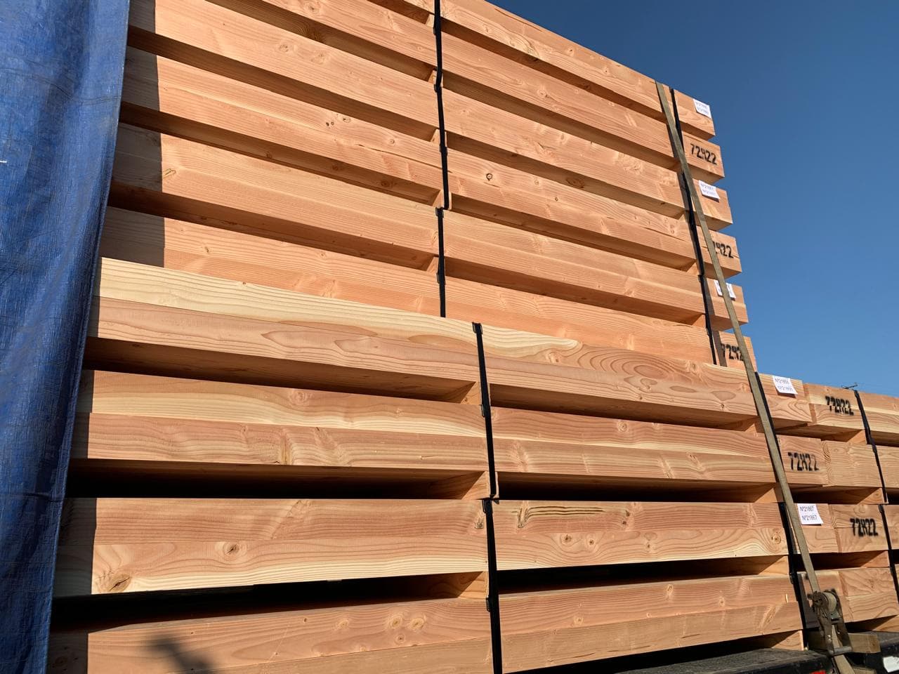 Oregon Pine